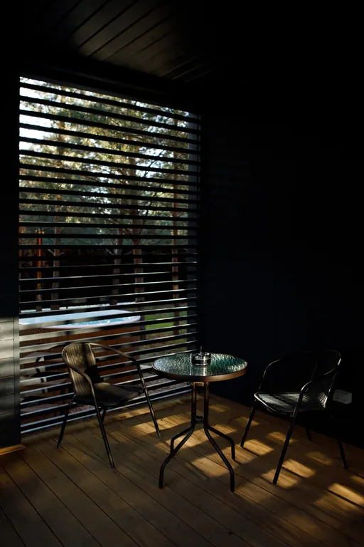 Дом с сауной и горячим чаном на участке с соснами