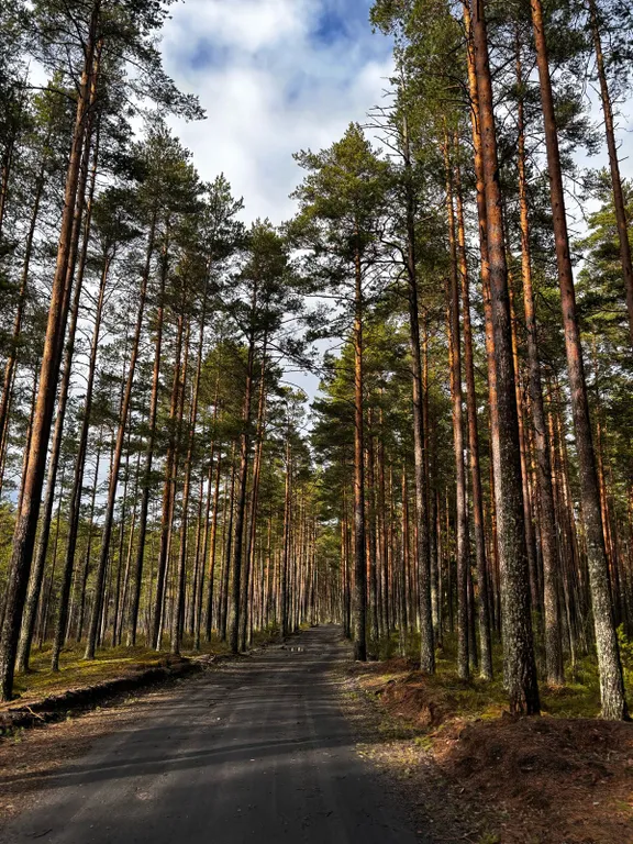 Коттедж Ладожские дюны, комфортный дом с панорамными окнами до 7-ми гостей — Ларионово