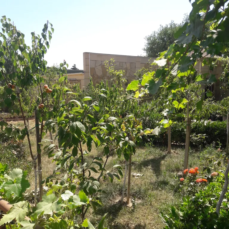 Дача У Моря 5 минут Бузовны