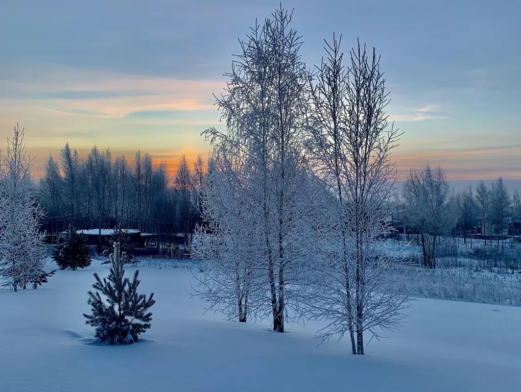 Светлая Гавань