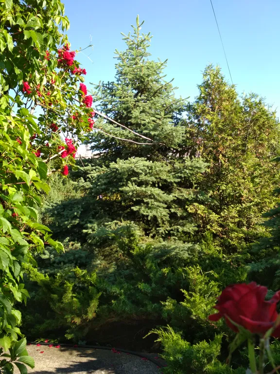 Уютный дачный домик в Нахимовском районе