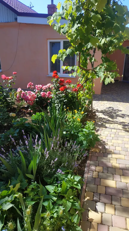 Дом на берегу Черного моря