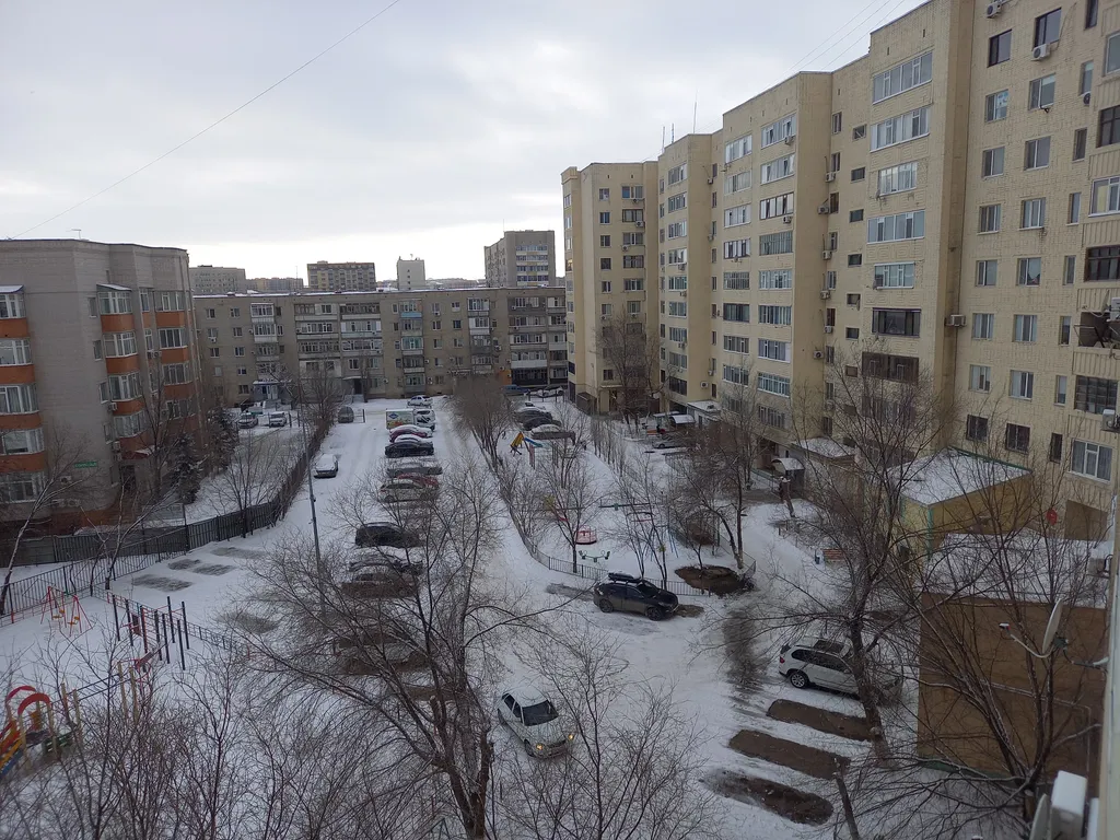 Звёздный оазис