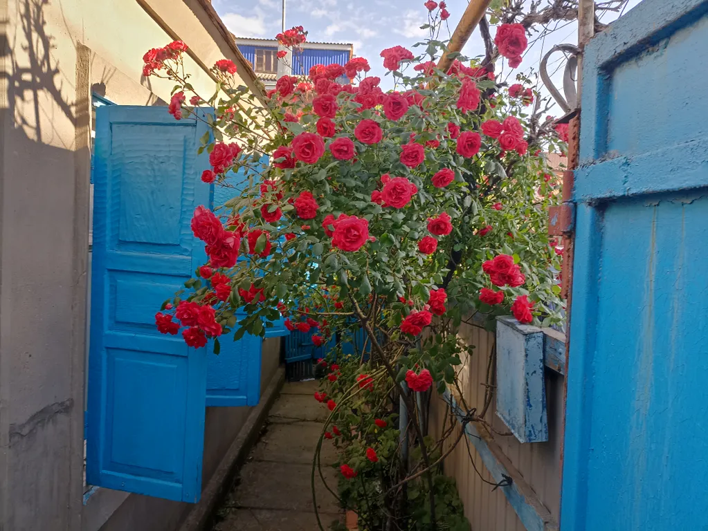 Гостевой домик у моря