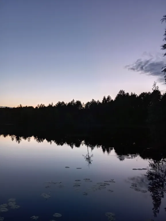 Деревянный дом, на берегу меличуярви, на краю леса в карельском селе