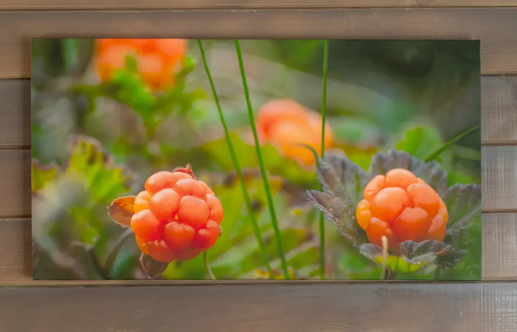 Новый гостевой дом и баня у Горного парка