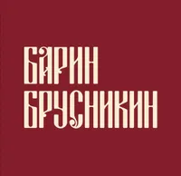 Brusnikin apartments