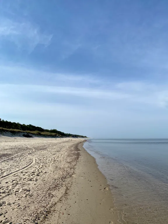 Квартира Квартира Апартамент Mint — Светлогорск