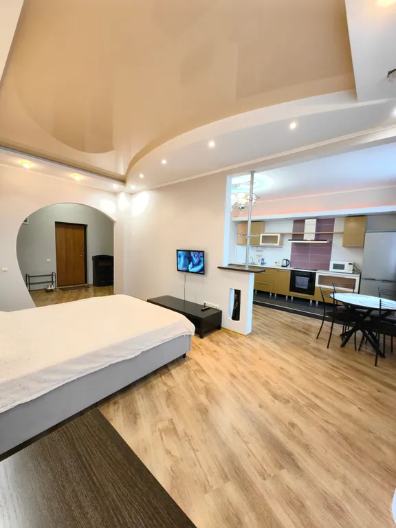 Квартира Просторная однокомнатная квартира с частичным видом на Волгу — Самара