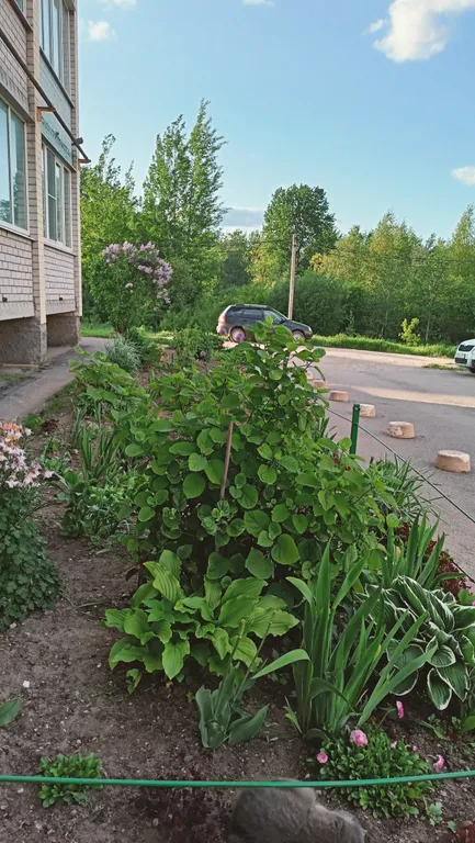 Квартира для семейного отдыха и деловых поездок