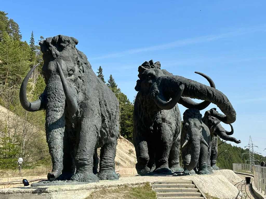 Дружелюбная студия