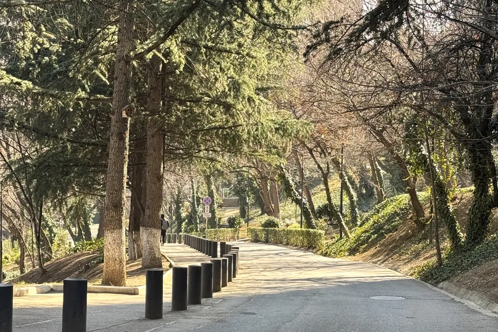 Дом, милый дом в центре города, Район Ваке