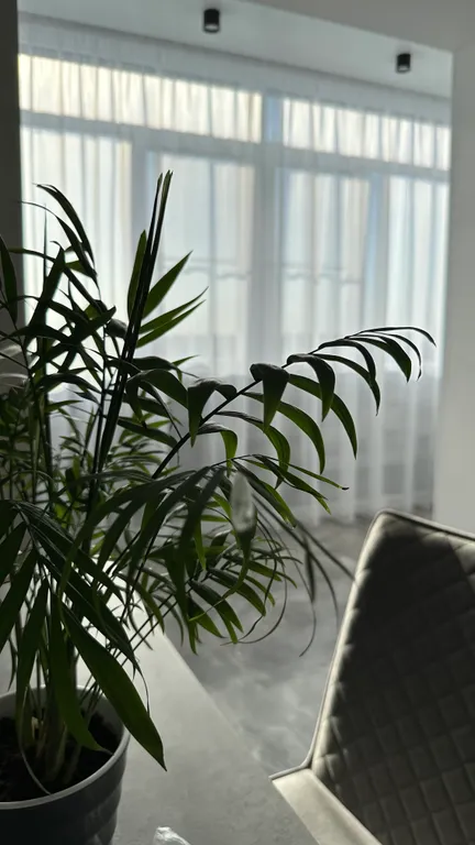 Стильная современная и просторная квартира в ЖК Русь