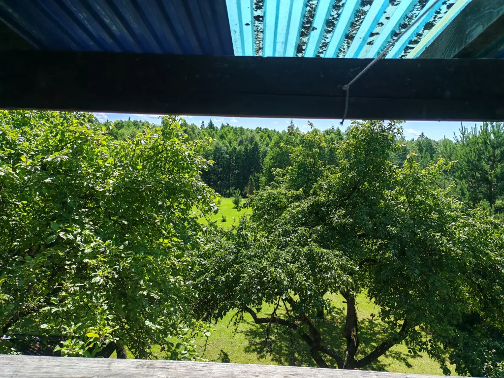 Хутор возле леса и озер