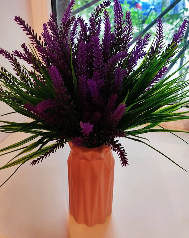 Домашняя квартира