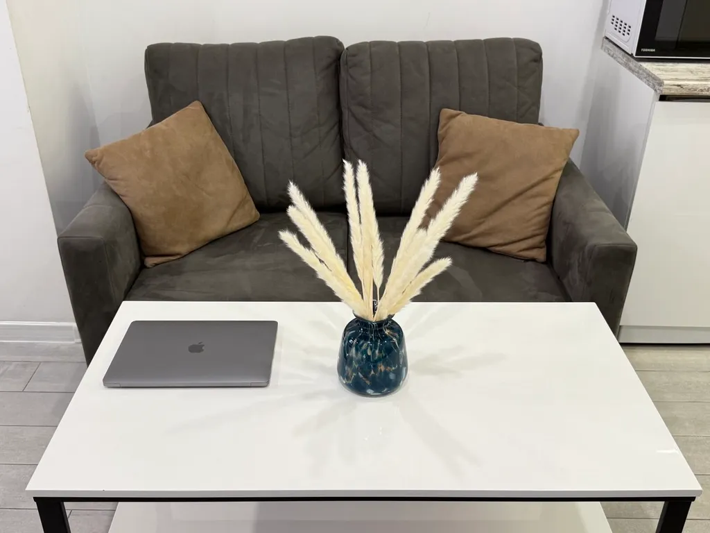 Stylish apt city center, BW