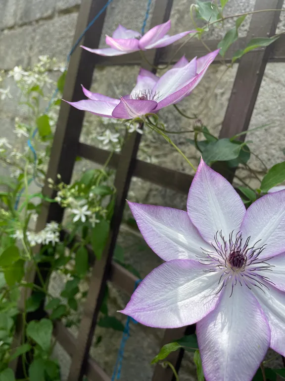 Уютные апартаменты на втором этаже в частном доме