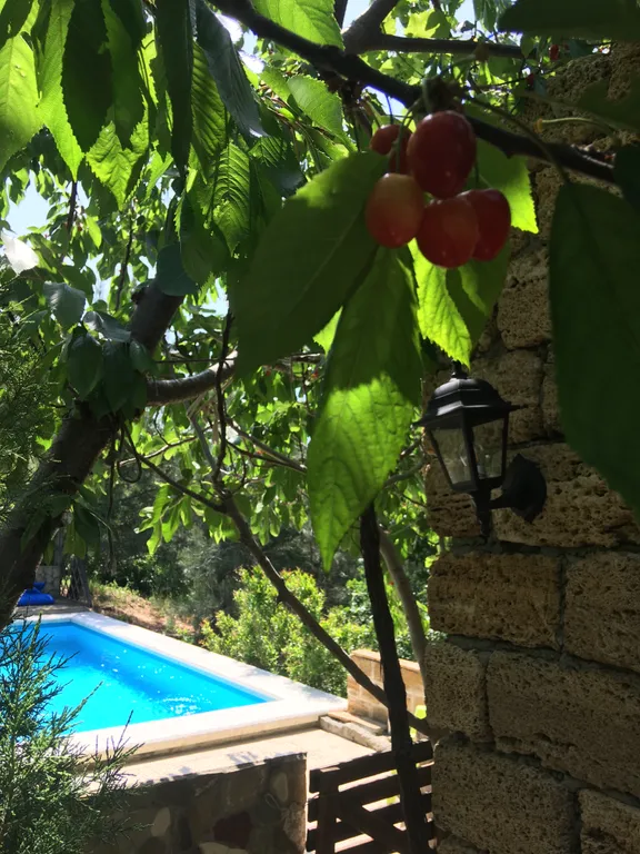 Апартаменты люкс с сауной, беседкой и бассейном