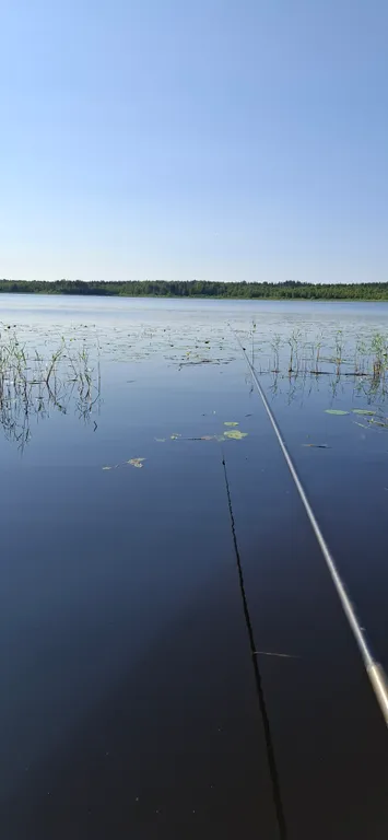 Коттедж Коттедж Селигерское — Березово