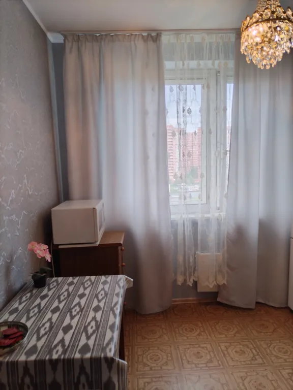 Просторная квартира в центральной части города, возле соснового парка