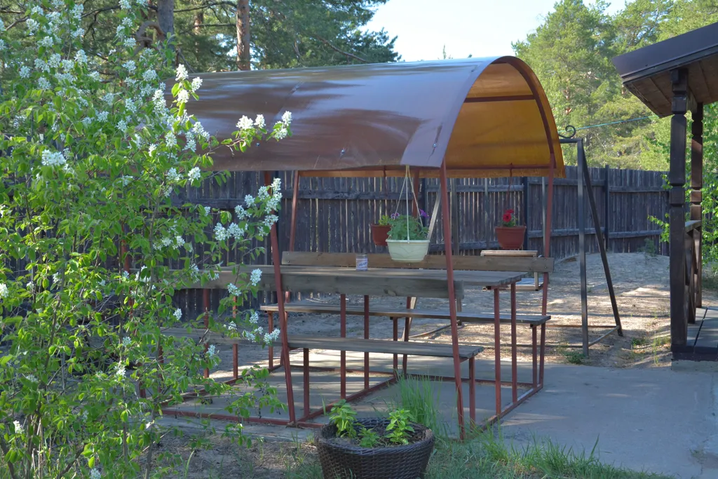 Сосновый бор