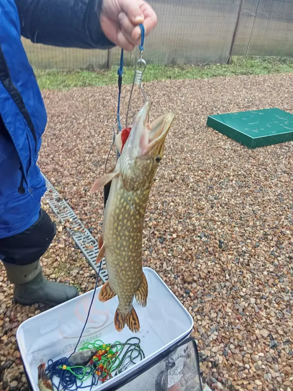 Уютный дом на берегу Вазузы