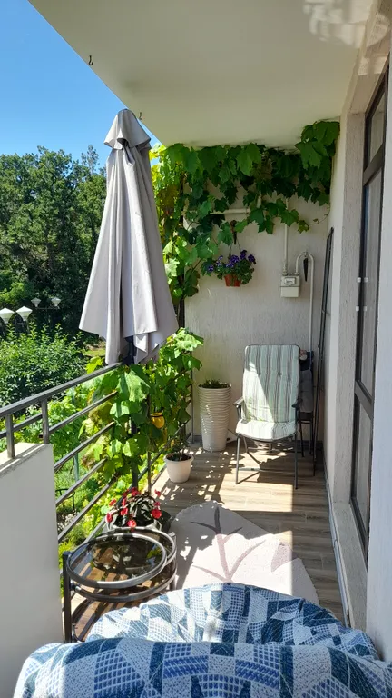 Квартира с видом на лес и море