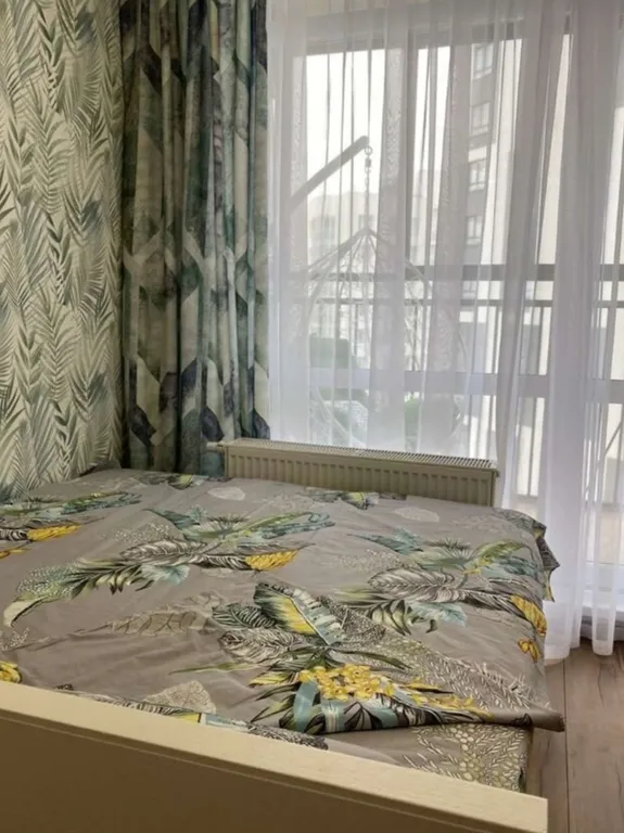 Студия Голландская мечта у Столицы