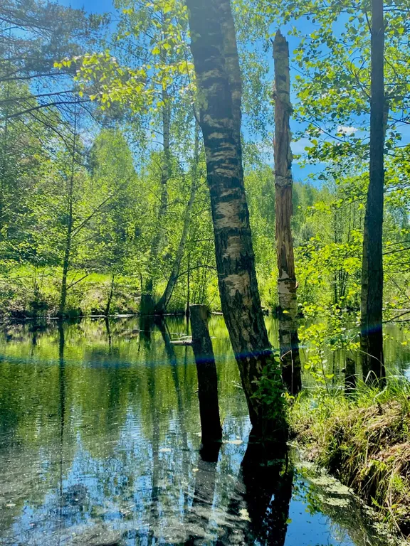 Большой стильный дом с панорамой на сосновый бор в 15км от НН с баней