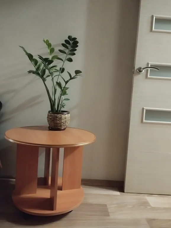 Уютная квартира в микрорайоне Европейский