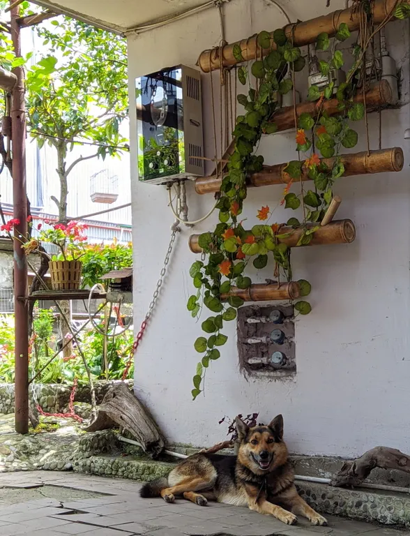 Уютная квартира с мини-садом