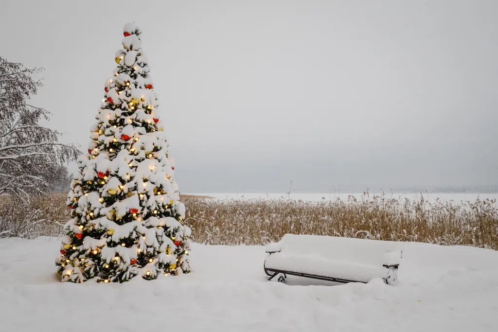 Коттедж Домик в лесу вблизи Суходольского озера — Приозерск