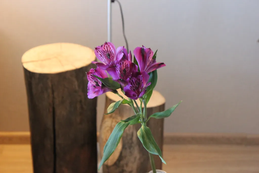 Уютная квартира с камином