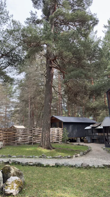 Уютный домик в лесу