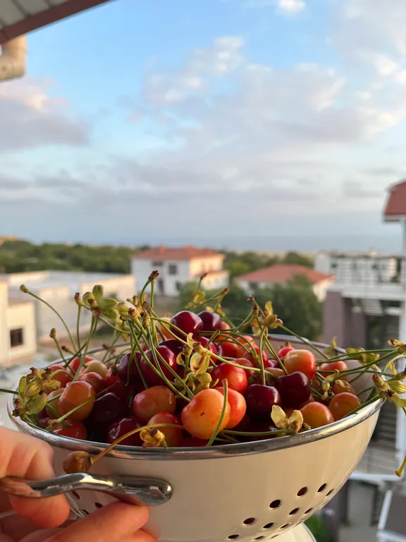 Квартира Уютная квартира с видом на море — Севастополь