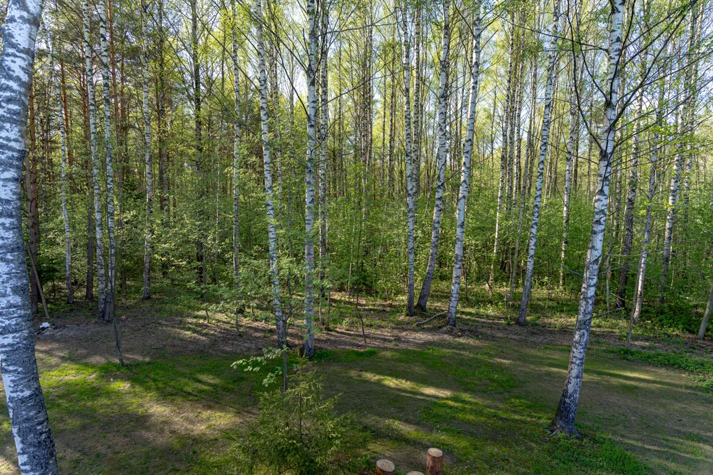 Шатрищи the Village 1