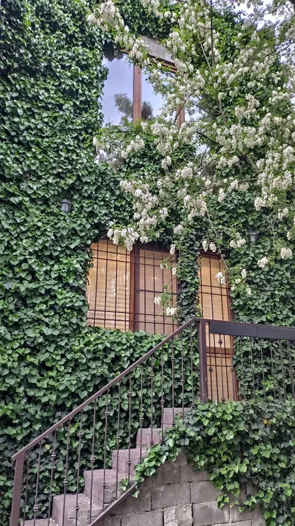 Квартира Уютная квартира в районе жд вокзала, недалёко от моря — Махачкала