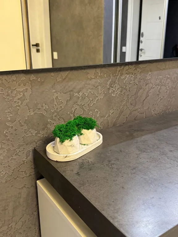 Квартира Солнечные апартаменты у моря — Светлогорск