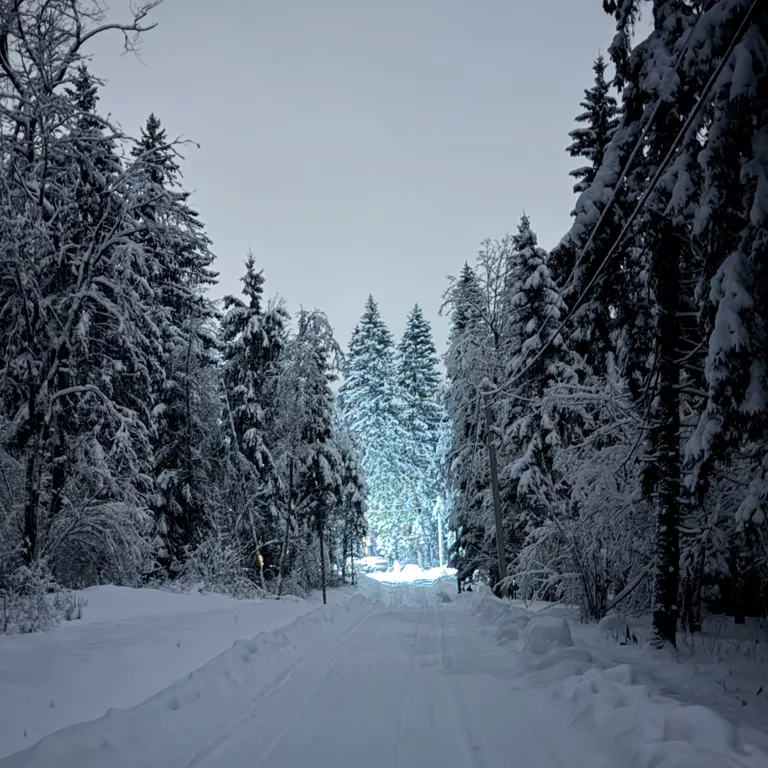 Коттедж Забудьте о городе, ваш лесной дом для тихого отдыха ждет вас — Истра