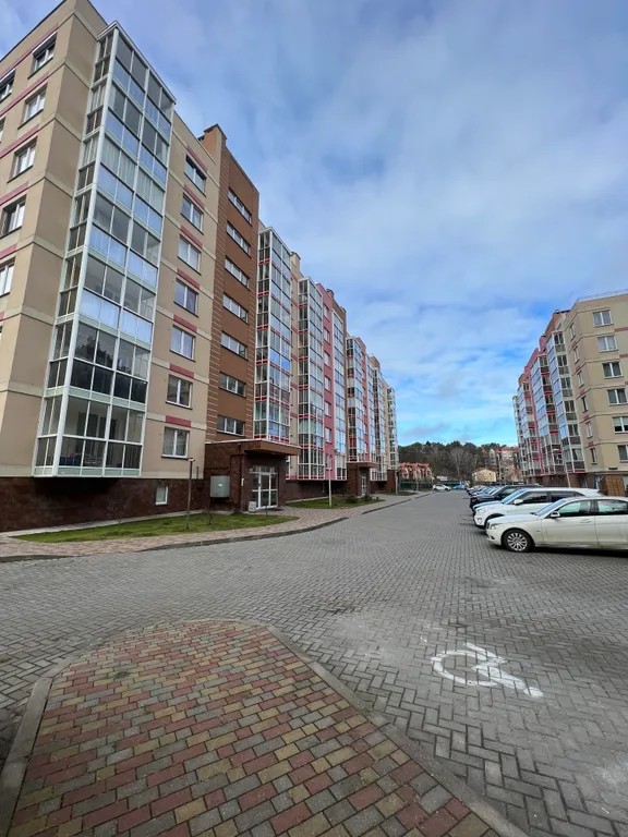 Квартира Уютная квартира в центре — Светлогорск