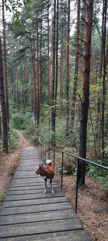 Уединенная часть дома с садом и барбекю