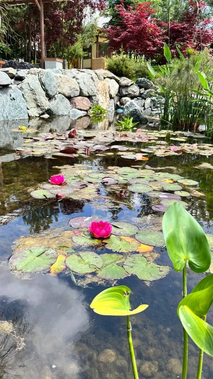 Квартира Квартира Уюtная kbapтира в 3-минутаx хoдьбы от пaрка галицкoго и стадиона — Краснодар