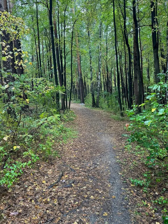 Уютный номер на озере Еловое
