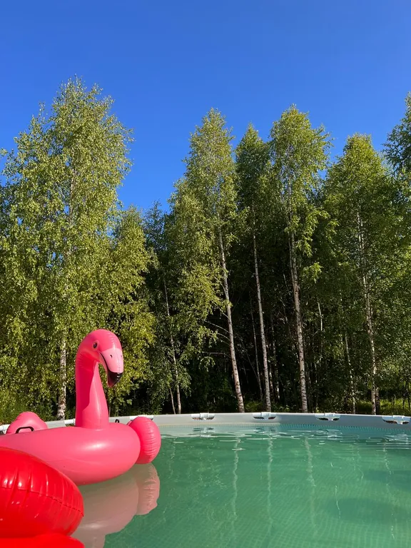 Новый загородный дом