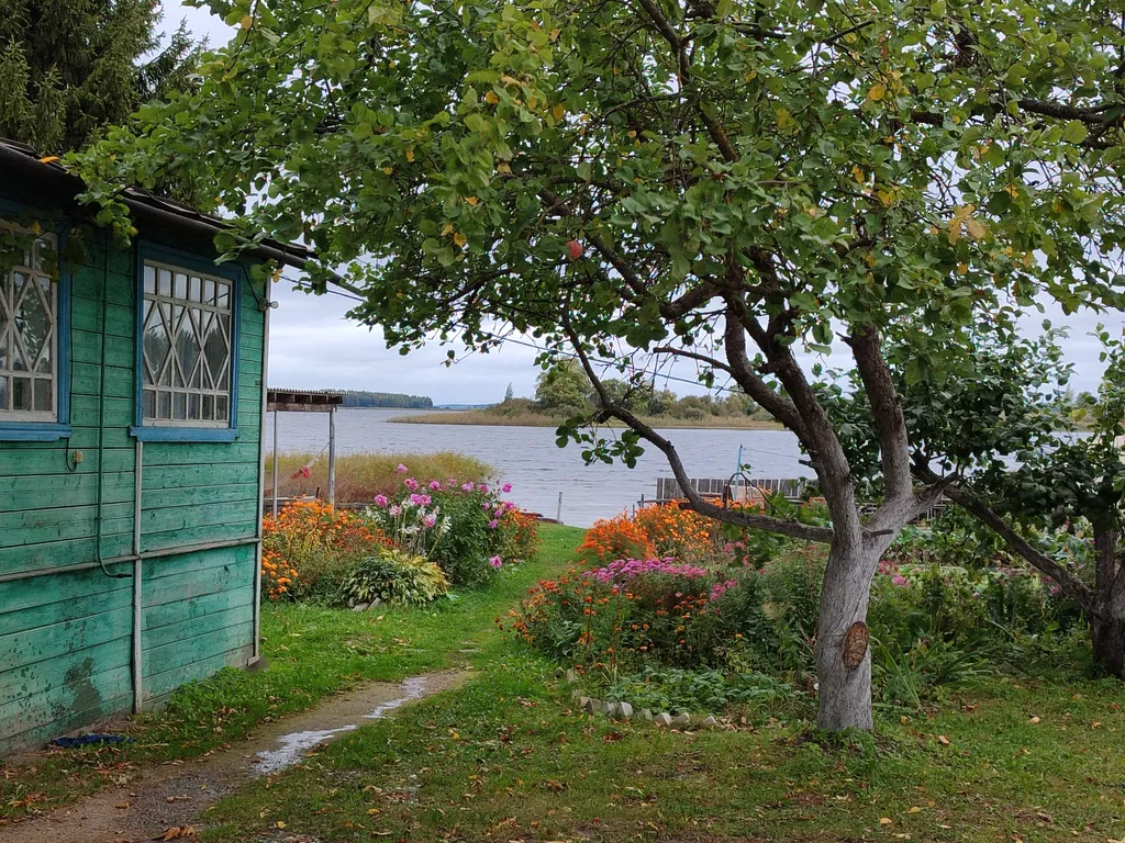 Дом на берегу Селигера первая линия