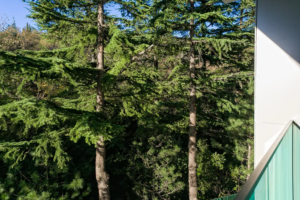 Крымская Сказка