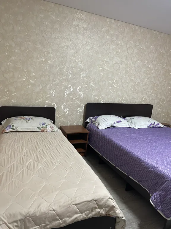 Квартира Комната — аренда посуточно в Гумиста