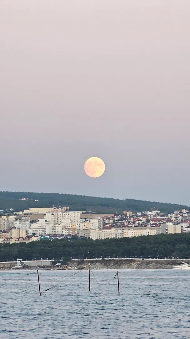 Тонкий мыс