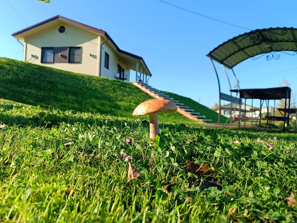 Уютный теплый дом с видом на озеро Passo 3