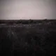 даниил